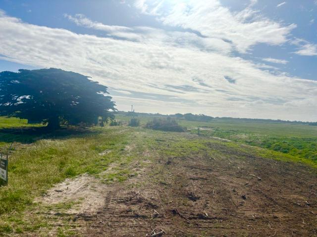 Land for sale in Whitemark, Tasmania