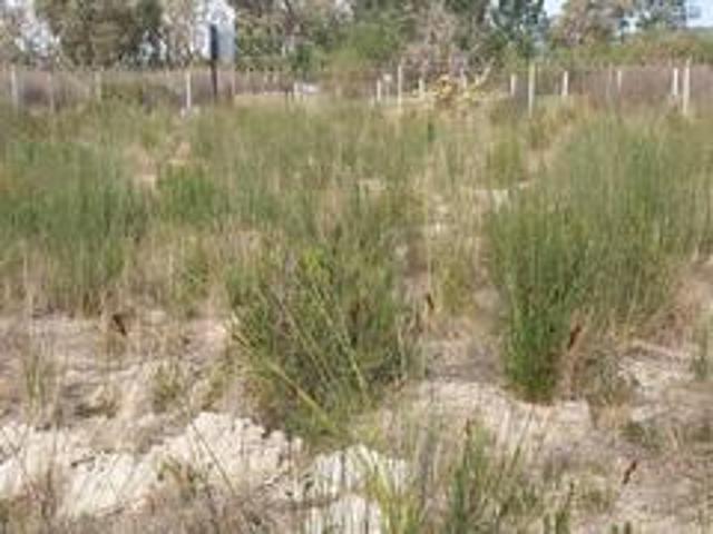 Land for sale in Groot Brak Rivier, Western Cape