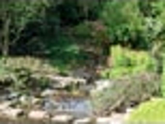 House for sale in Waikato