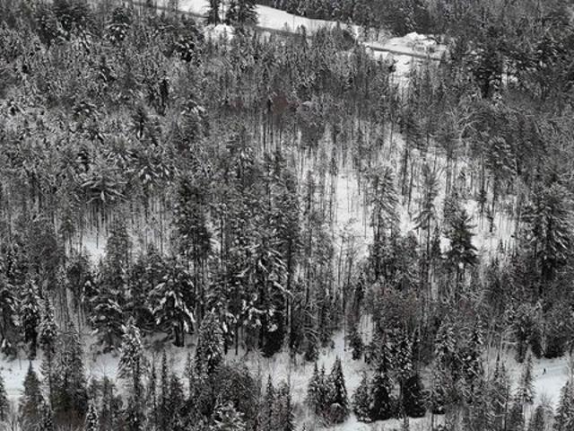 Land for sale in Sutton, Vermont