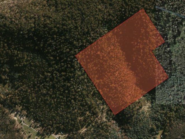 Land for sale in Molesworth, Tasmania