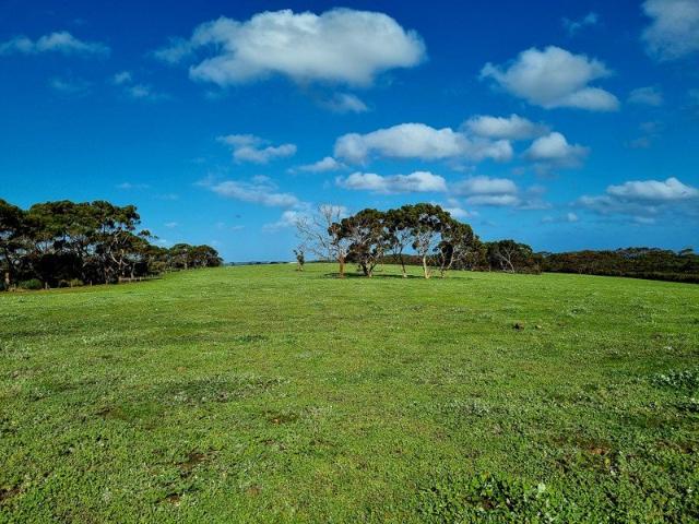 Cottage for sale in Newland, Vivonne Bay