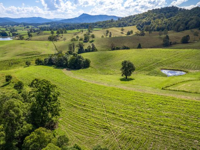 Property for sale in Bowraville, New South Wales
