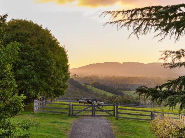 House for sale in Robertson, New South Wales