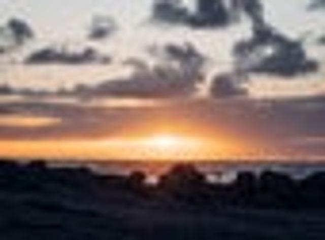 Land for sale in West Coast