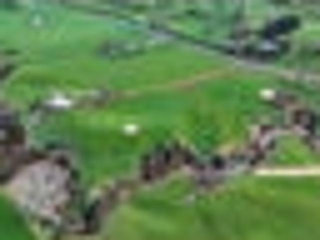 Land for sale in Tirau, Waikato