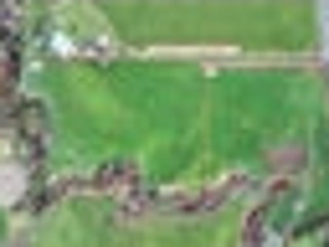 Land for sale in Tirau, Waikato