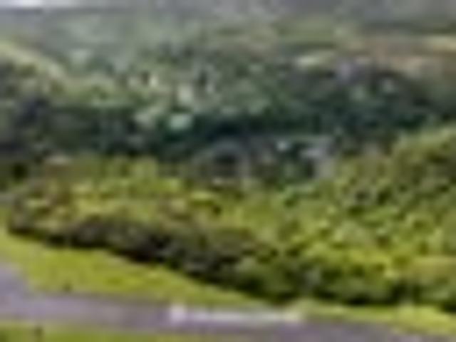 Land for sale in Pauatahanui, Wellington