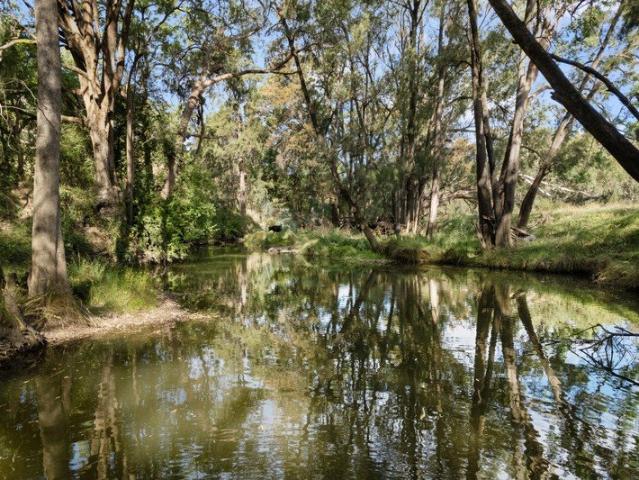Cottage for sale in New South Wales