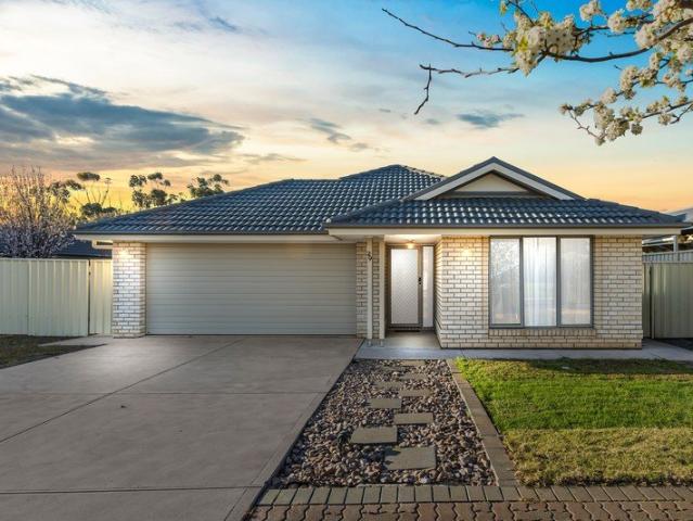 House for sale in Freeling, South Australia