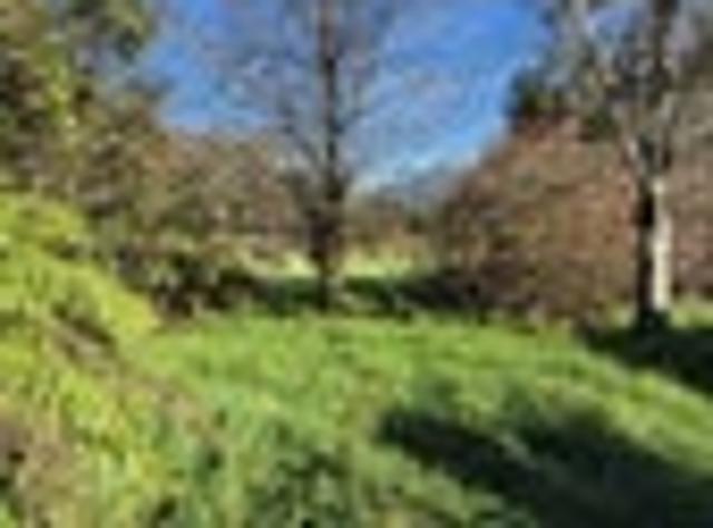 Land for sale in West Coast