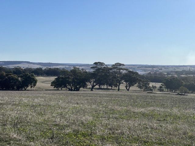Land for sale in Nunile, Western Australia