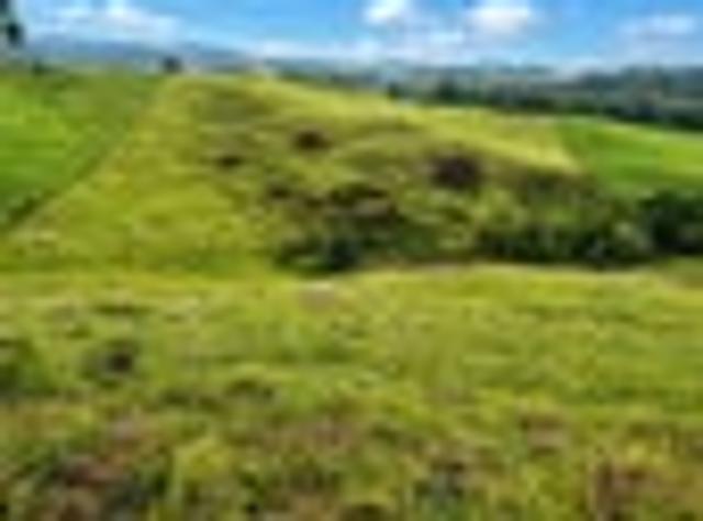 Land for sale in Waikato