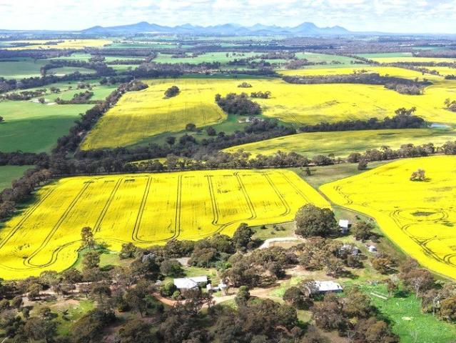 Cottage for sale in Cranbrook, Western Australia
