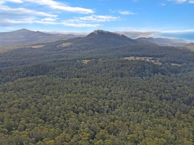 Land for sale in St Marys, Tasmania