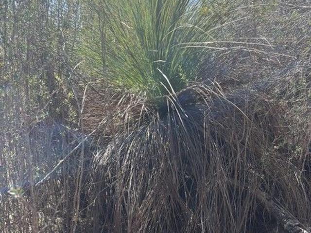 Cottage for sale in Whitemark, Tasmania