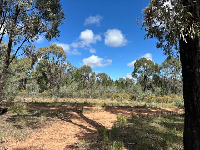 Cottage for sale in Binnaway, New South Wales