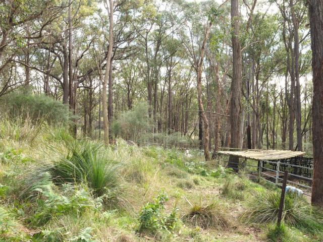 Cottage for sale in New South Wales