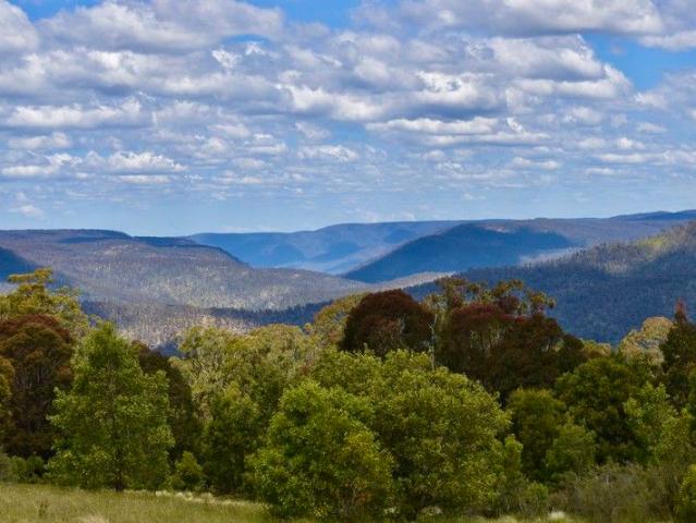 Cottage for sale in Gingkin, New South Wales