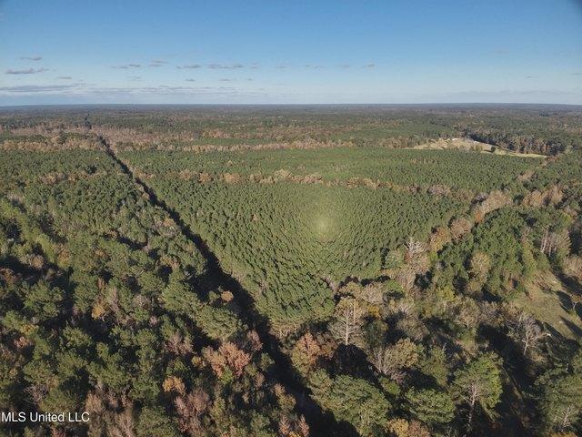 Land for sale in Canton, Mississippi