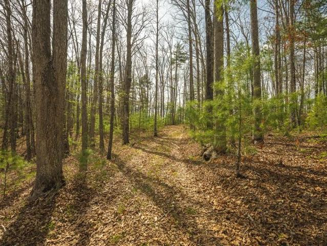 Land for sale in Virginia