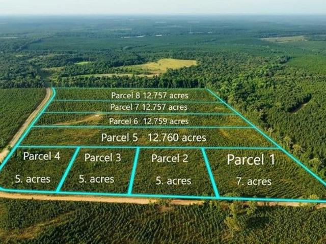 Land for sale in Reynolds, Georgia