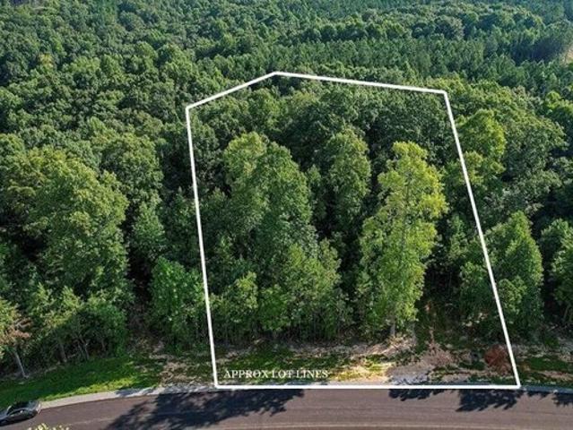 Land for sale in Jasper, East Tennessee