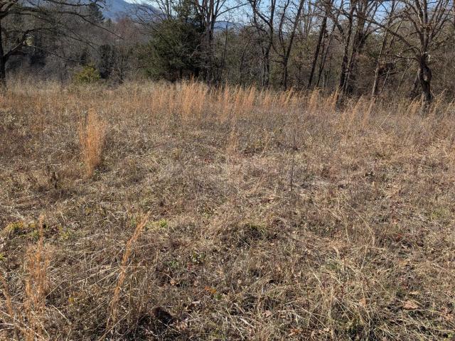 Land for sale in Tennessee