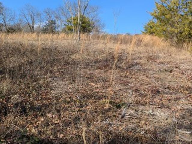 Land for sale in Tennessee