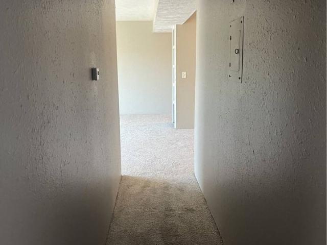 Apartment for rent in Nebraska