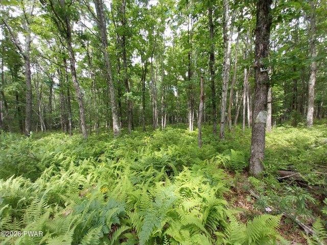 Land for sale in Beach Lake, Pennsylvania