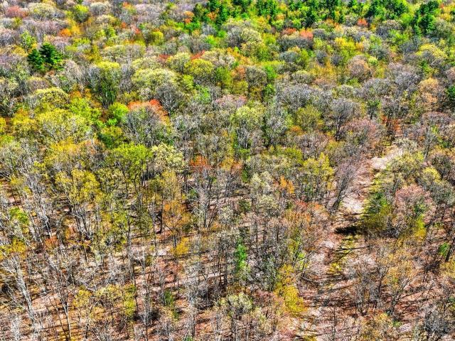 Land for sale in Beach Lake, Pennsylvania
