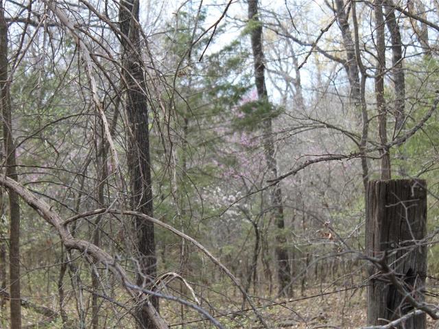 Land for sale in Tecumseh, Oklahoma