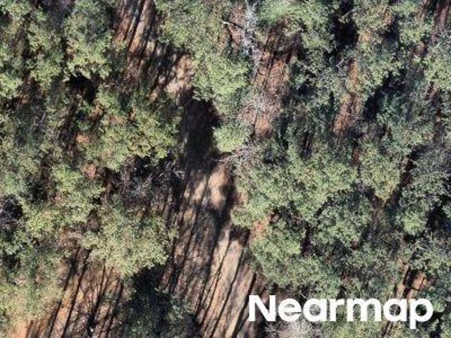 Land for sale in Columbia, South Carolina