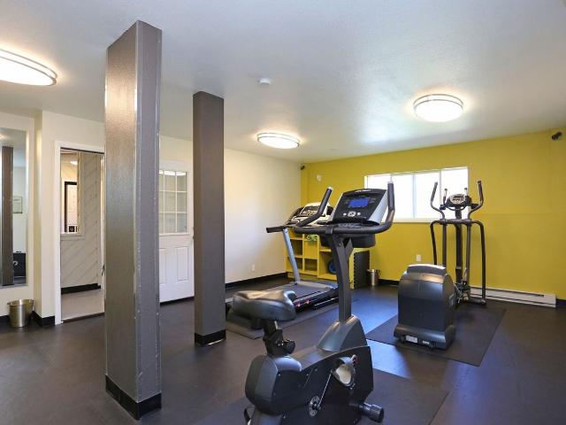 Apartment for rent in Colorado Springs, Colorado