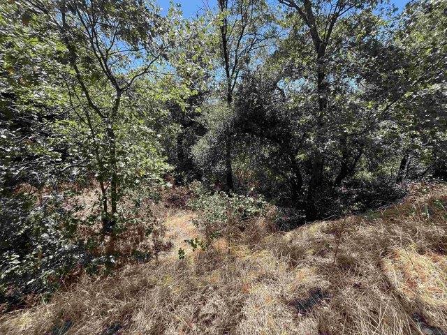 Land for sale in Julian, California