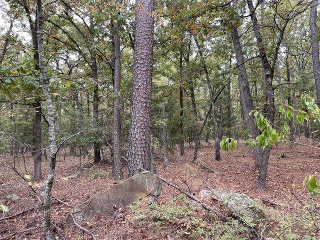 Land for sale in Antlers, Oklahoma