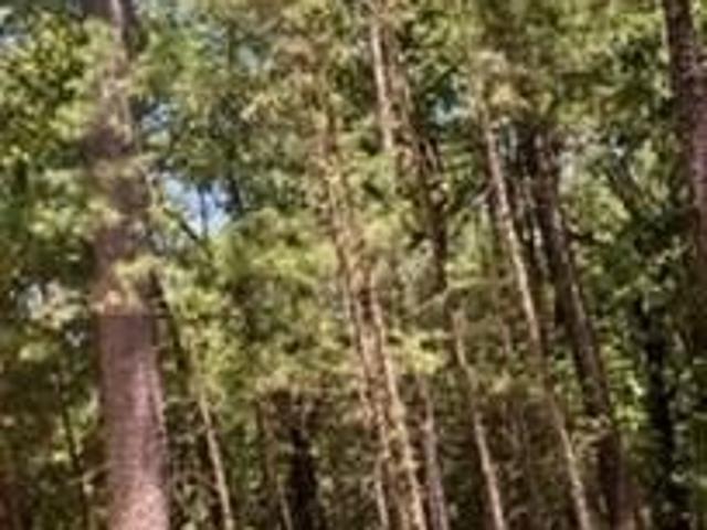 Land for sale in Antlers, Oklahoma