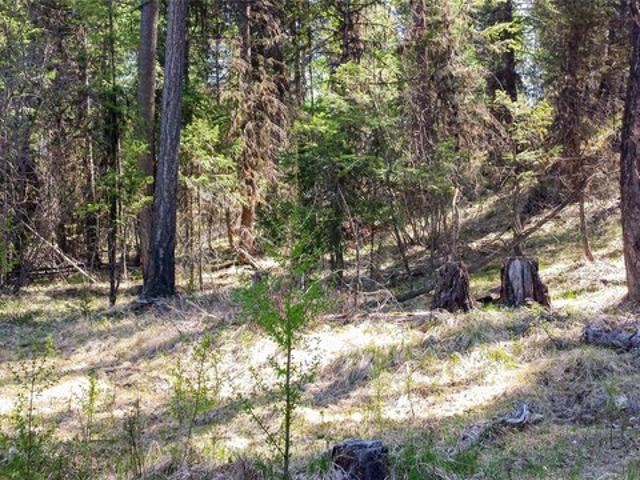 Land for sale in Fortine, Montana