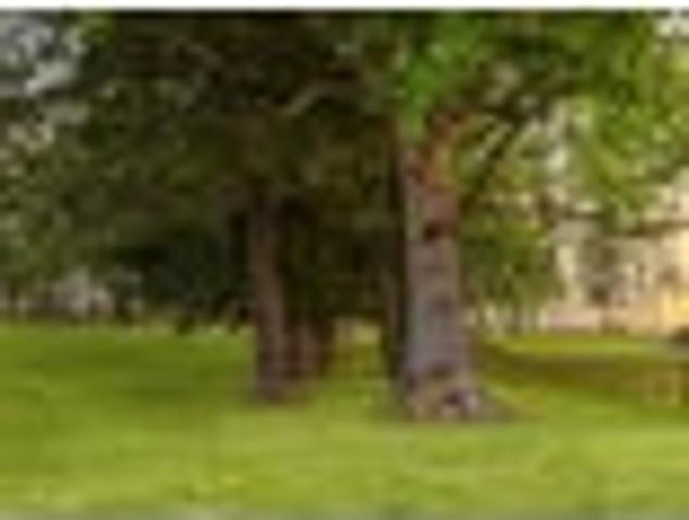 Land for sale in Kawau Island