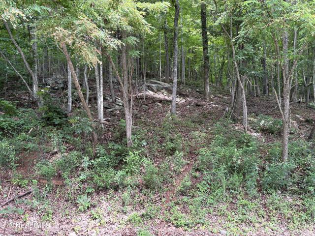 Land for sale in Tennessee