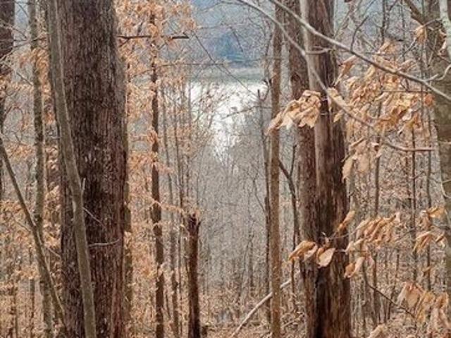 Land for sale in Tennessee