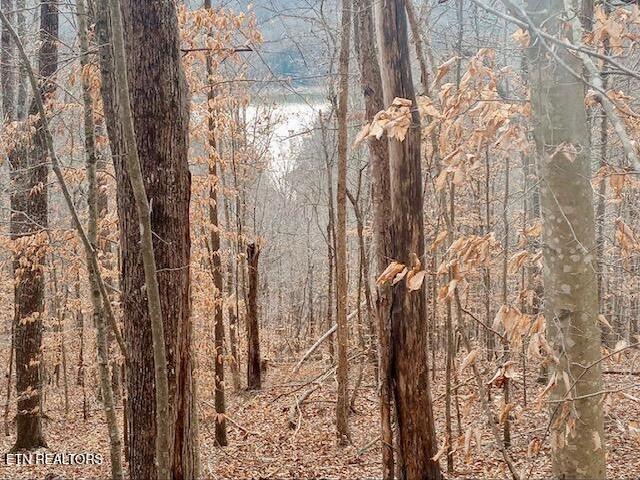 Land for sale in Tennessee