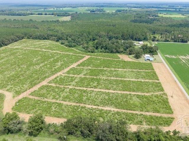 Land for sale in Jay, Florida