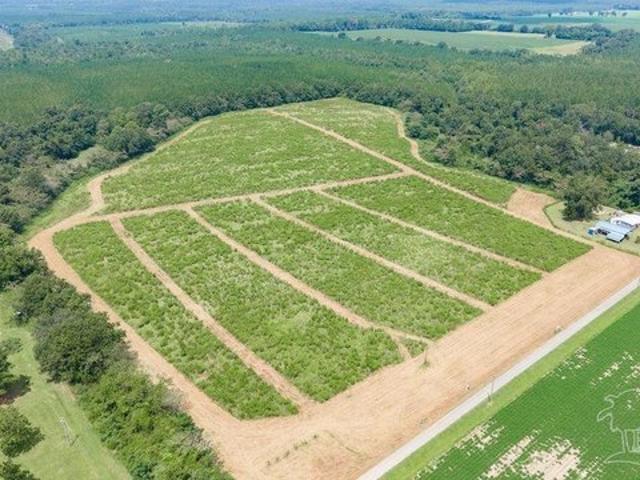 Land for sale in Jay, Florida