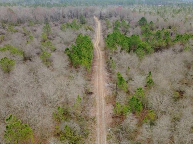 Land for sale in Waycross, Georgia