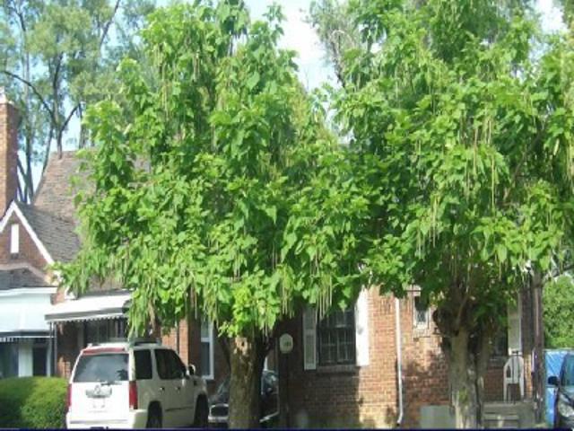 House for sale in Detroit, Michigan
