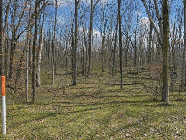 Land for sale in Clare, Michigan