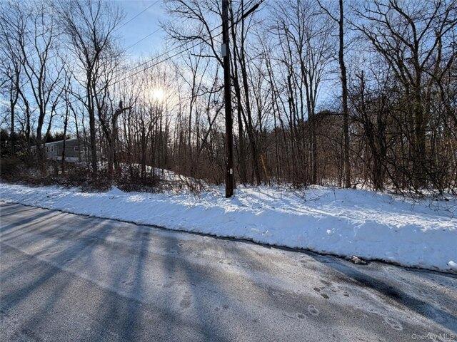 Land for sale in Hyde Park, New York