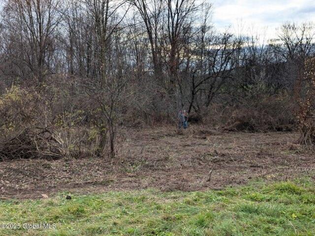 Land for sale in Eagle Bridge